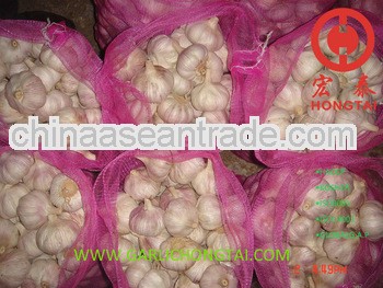 Chinese Normal White Garlic For Brazil