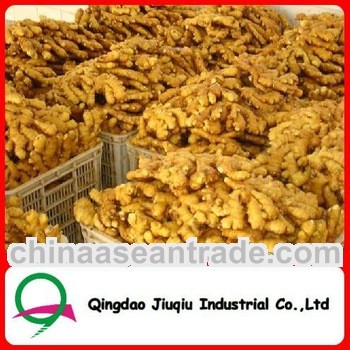 Chinese dried ginger