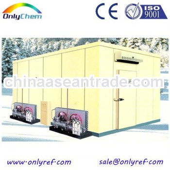 Commercial Equipment Stainless Steel Dismountable Assembled Cold room