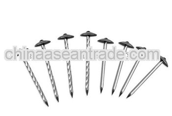 Competitive price!!! Galvanized roofing Nail