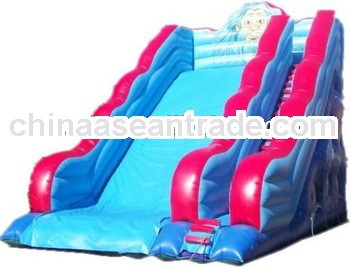 Customized Inflatable Slide,Dry Slide