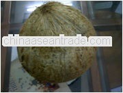 Dry coconut