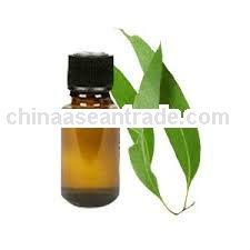 Eucalyptus Oil for Perfume