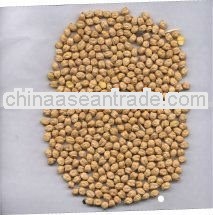 Evergreen quality Chick peas 16 mm For Saint Kitts and Nevis