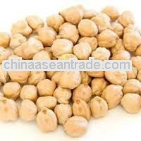 Evergreen quality Chick peas 40/42 For Guatemala