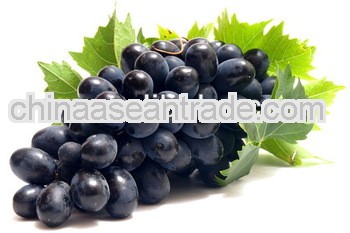 Fresh Black Grapes from India