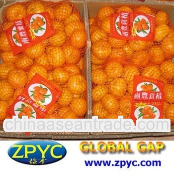 Fresh Chinese baby mandarin