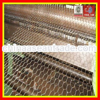 Galvanized chicken wire mesh 0.7mm