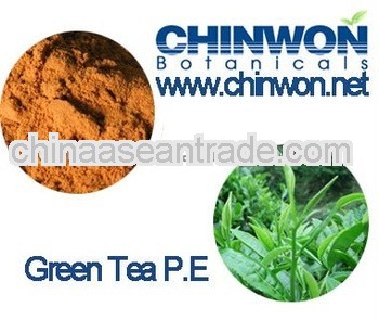 Green Tea Extract for skin beauty