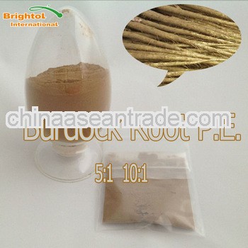High Quality Burdock Extract Powder