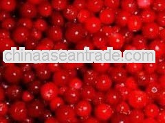 High Quality Lingonberry Extract Powder & Juice