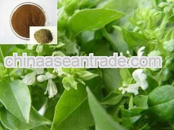 High Quality Sweet Basil Herb Extract