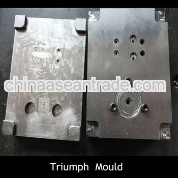 High quality China plastic injection PE mould