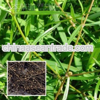 High quality Spreading Hedyotis Extract Powder