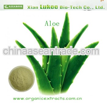 Hot Sale aloe vera extract 50% 60% 98% Pharmaceutical Grade