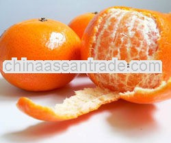 Hot sale HOT SALE fresh baby orange/chinese honey orange/mandarin orange