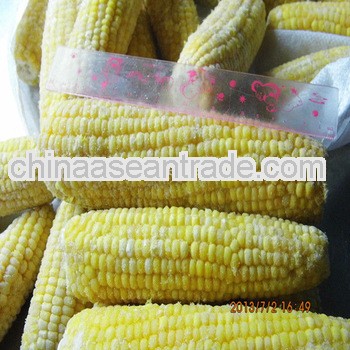 IQF super sweet corn