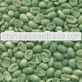 Indian Green Coffee beans