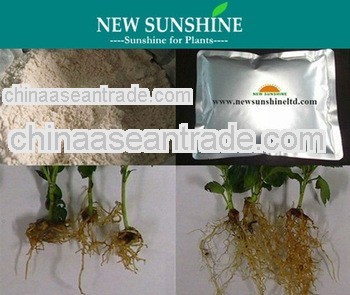 Indole acetic acid plant rooting hormone