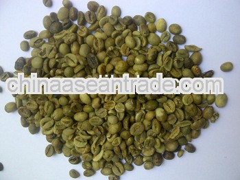 Java Robusta Coffee Beans Grade EK1