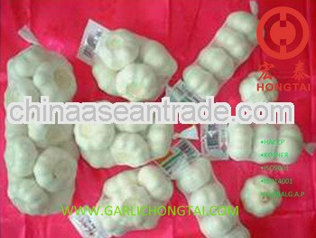 Jinxiang Fresh Garlic 4.5-6.5 CM Price