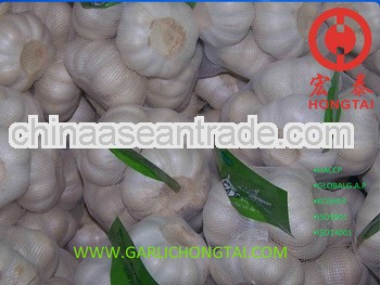 Jinxiang Fresh Garlic For Super Market