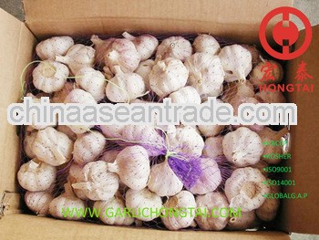 Jinxiang Normal White Garlic 4.5 price