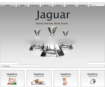Kitchen products Online selling website, company customize website service, design a website