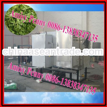 Made in China vacuum freeze drying machine for apple,onion,carrot,spinach,lemon,mango/0086-138383471