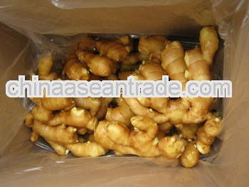 Market price for big ginger