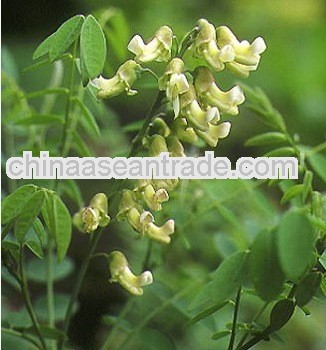 Matrine From Traditional Chinese Medicine (kuh-seng Extract)