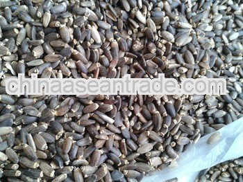 Milk Thistle seeds/Material