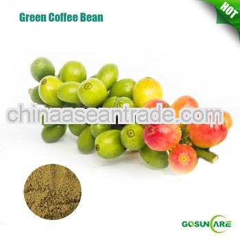 Natural Chlorogenic Acid From Green Coffe Bean