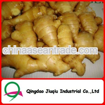 Natural Yellow Fresh Chinese Ginger from Shandong