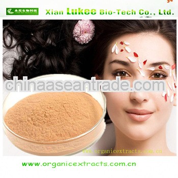Natural herbal extracts Bio Green Tea Extract