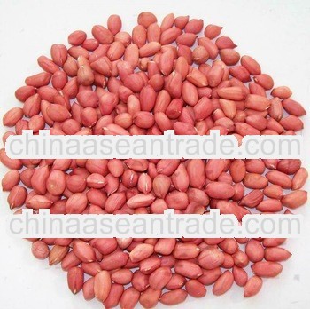 New Crop 2012 Chinese Red Skin Peanuts Kernel