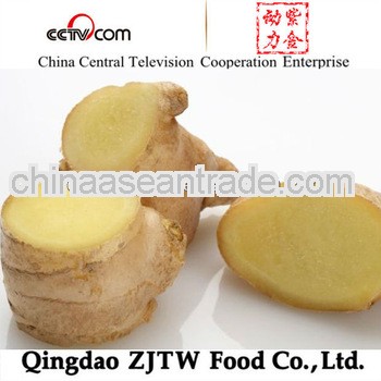 New ginger for middle east market china ginger