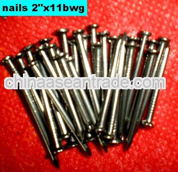 Polished galvanized common wire nails