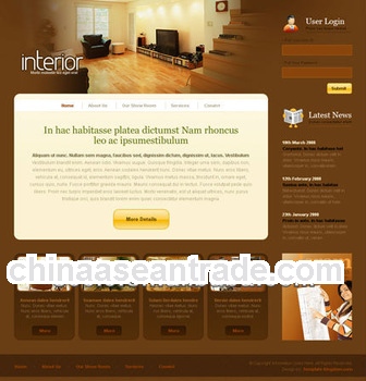 Professional website design service, website seo service