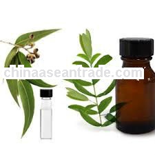 Pure Organic Eucalyptus Oil
