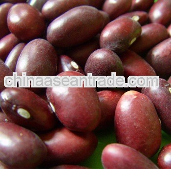 Red Kidney Beans,New Crop