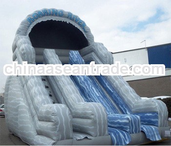 Roaring river Inflatable Slide (2 lanes Slide)