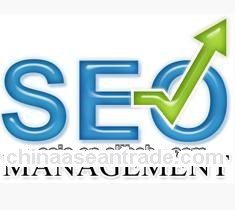 SEO Promotion to get high ranking