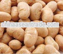 Salt and roasted soy beans