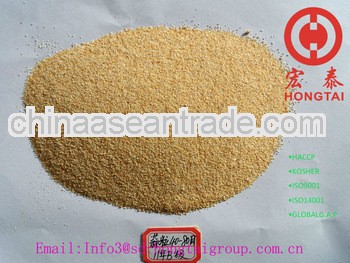 Shandong Air Dried Granulated Garlic 40-80 Mesh Price