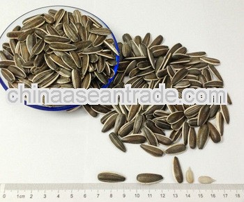 Sunflower seeds 318 chinese nuts