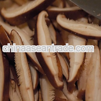 Top Quality Shiitake Mushrooms Extract