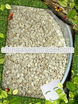 Top Yunnan raw arabic coffee beans