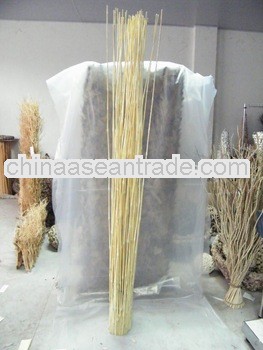 Water Bamboo Bundle