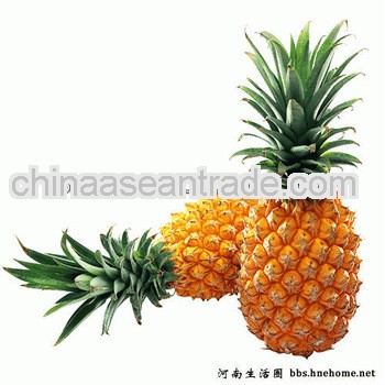 Water Soluble 100% nature Pineapple extract Bromelain/Bromelin
